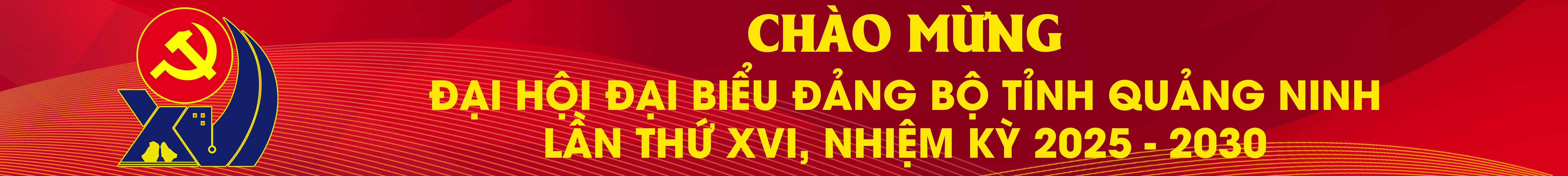 Đại hội Đảng bộ tỉnh lần thứ XVI